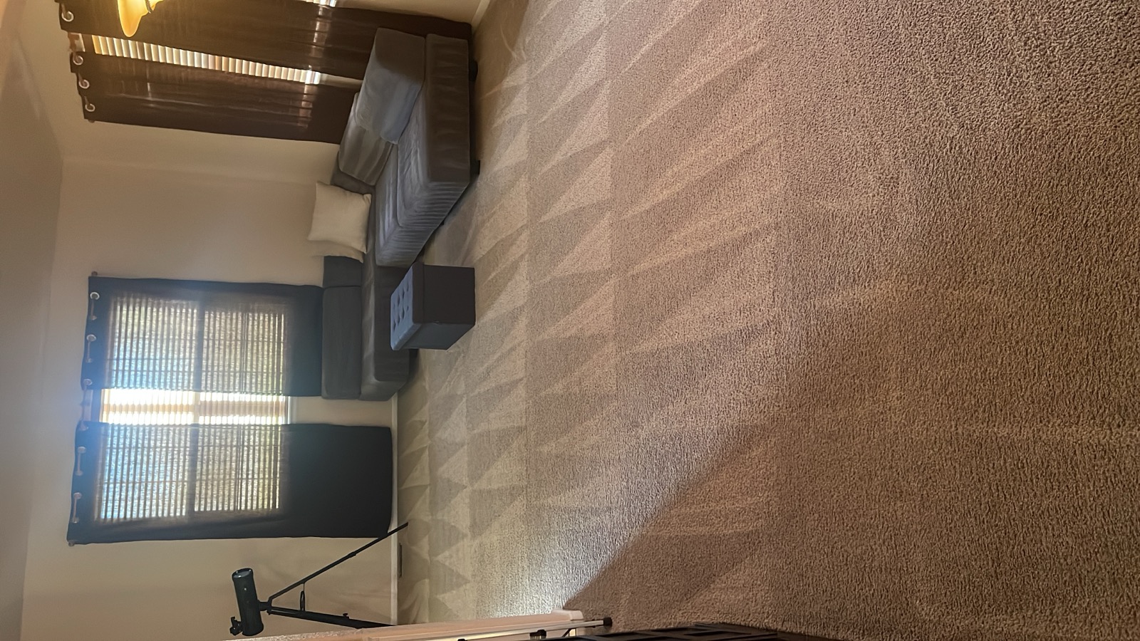 Living room with freshly cleaned carpet